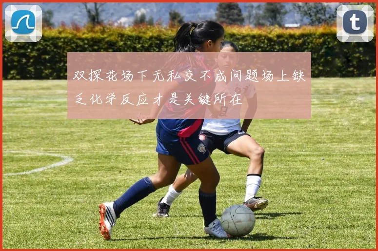 双探花场下无私交不成问题场上缺乏化学反应才是关键所在