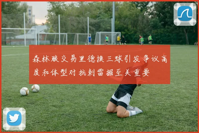 森林狼交易里德换三球引发争议高度和体型对抗刺雷掘至关重要