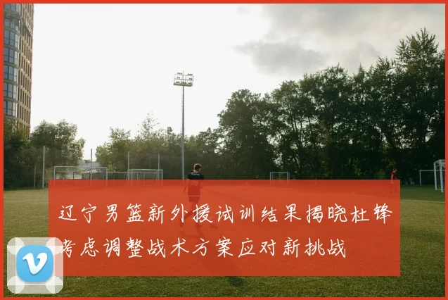 辽宁男篮新外援试训结果揭晓杜锋考虑调整战术方案应对新挑战